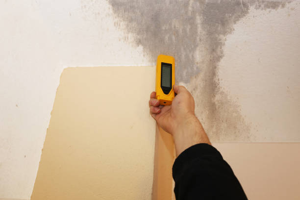 Best HVAC Mold Inspection and Cleaning  in Centreville, AL
