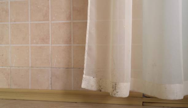 Best Attic Mold Removal  in Centreville, AL