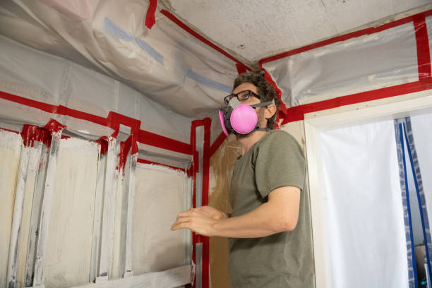 Mold Documentation for Insurance Claims in Centreville, AL