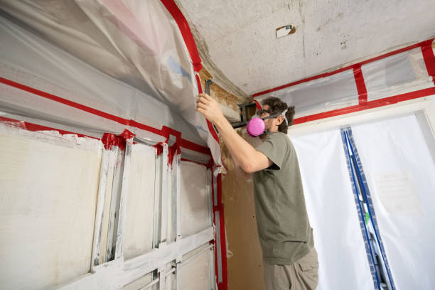 Best Airborne Mold Testing  in Centreville, AL